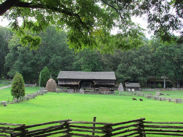 farm