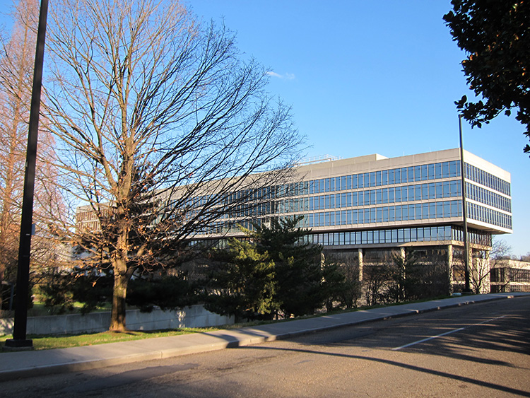 city county building