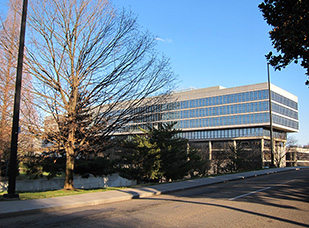 city county building