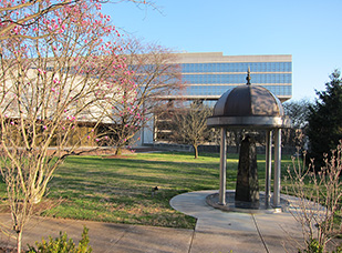 City County Building